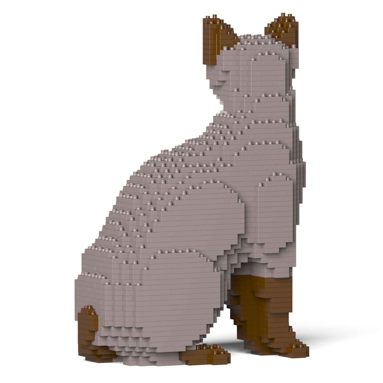 Jekca - Tonkinese Cat 01S-M01 - Good Games