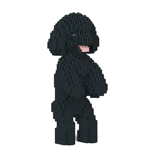 Jekca - Toy Poodle - 04S - M02 - Good Games