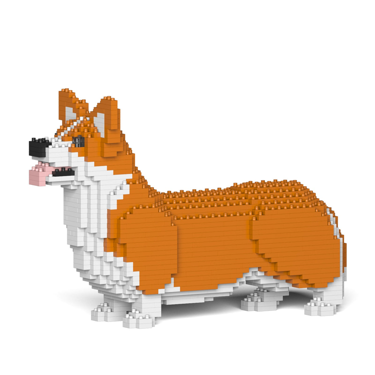 Jekca Welsh Corgi 02S-M01B - Good Games