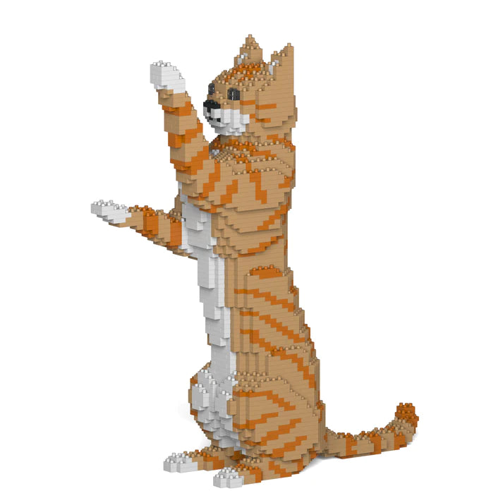 Jekca - Cat - Small (14S-M01)