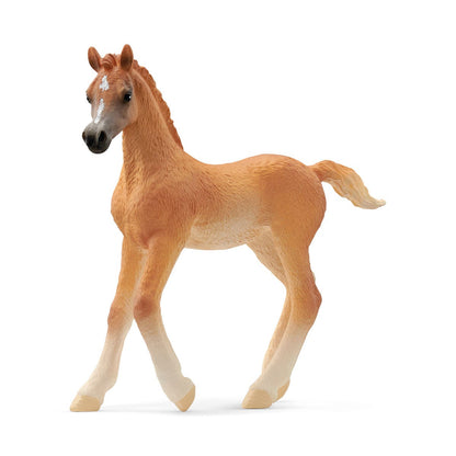 Tan Arab foal model with a white blaze, standing alert on a white background