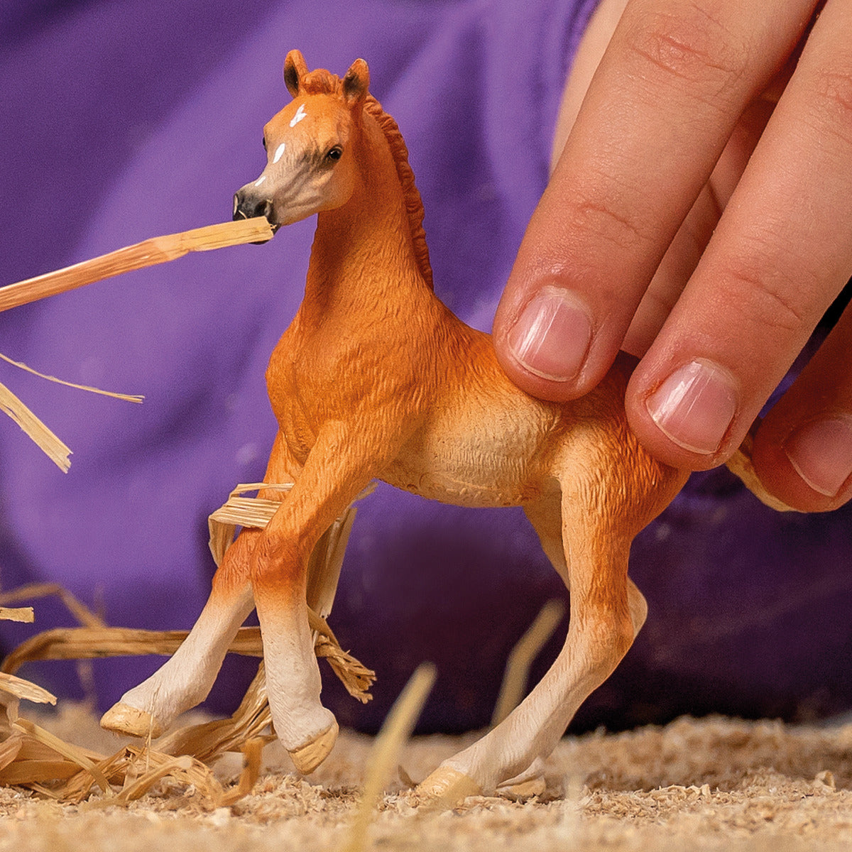 A child's hand holds an tan Arab foal toy figure chewing straw