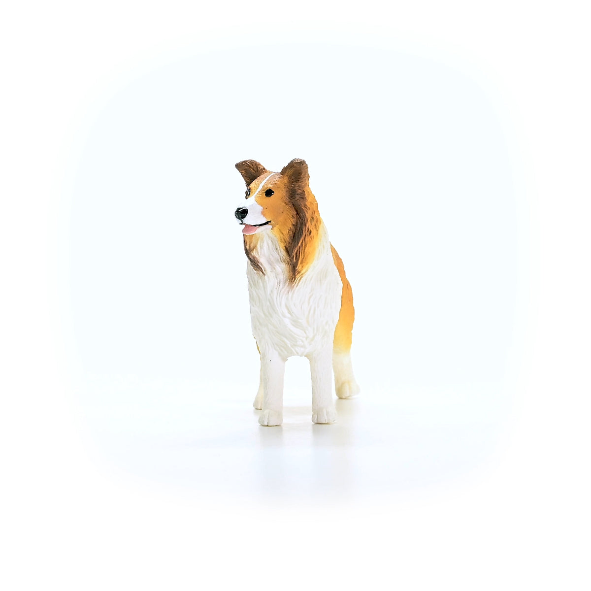 Tan and white Collie dog figurine stands on a white background, facing left with tongue out