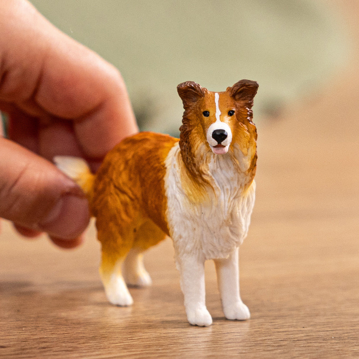 Hand holds a brown and white Border Collie figurine on a wooden surface