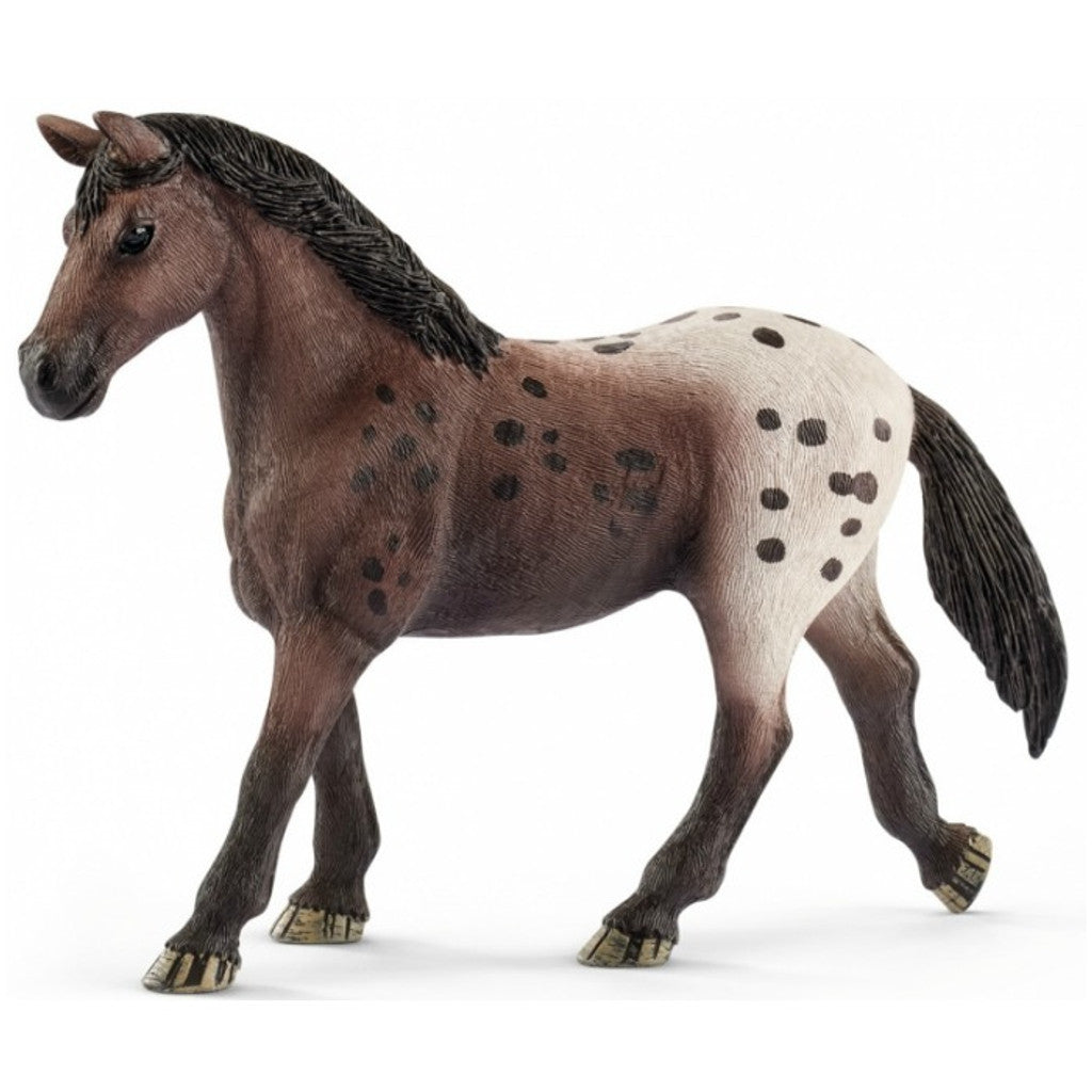 Schleich - Appaloosa Mare - Good Games