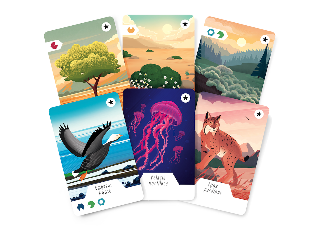 Ecosfera Expansion board game cards featuring diverse animal illustrations including an Emperor Goose Pelagia noctiluca jellyfish and a Lynx pardinus highlighting various biomes