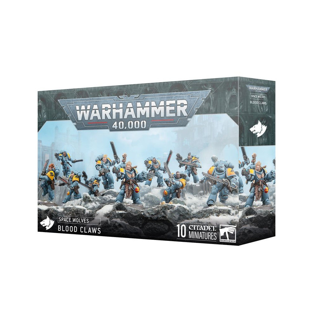 Warhammer 40,000 Space Wolves Blood Claws box showing 10 painted Space Marine miniatures on snowy terrain
