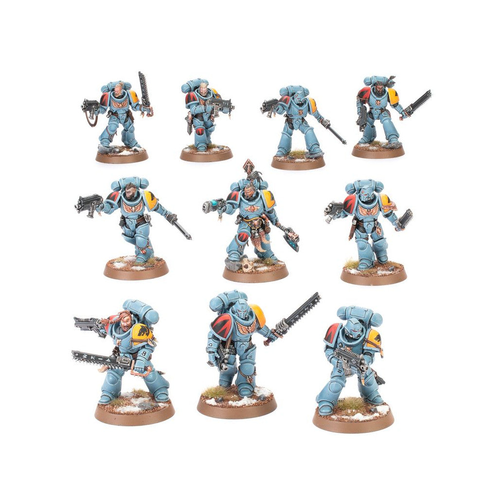 Ten painted Space Wolves Space Marine miniatures in light blue armor, armed with bolters and chainswords, posed on textured bases