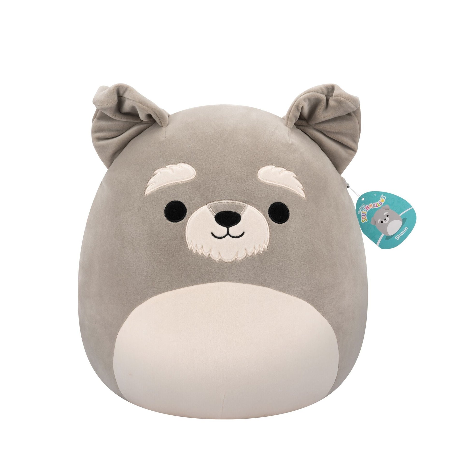 Gray Squishmallow plush toy, Shaun the Dog, featuring a white muzzle and eyebrows, displayed on a white background
