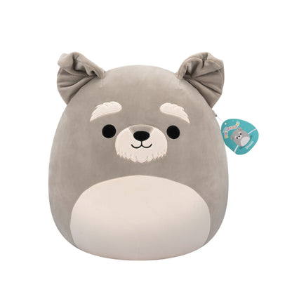 Gray Squishmallow plush toy, Shaun the Dog, featuring a white muzzle and eyebrows, displayed on a white background