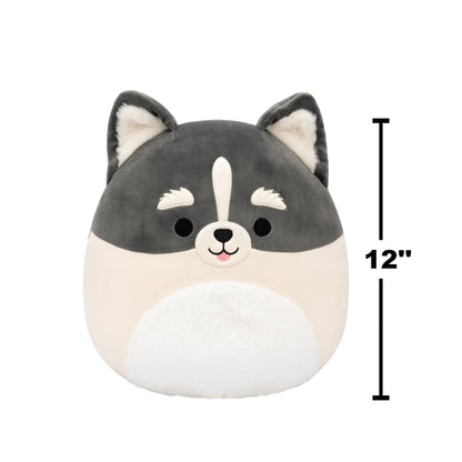Grey and cream Squishmallow plush toy with pointed ears, black eyes, white snout stripe, and fluffy white belly with showing 12" dimension