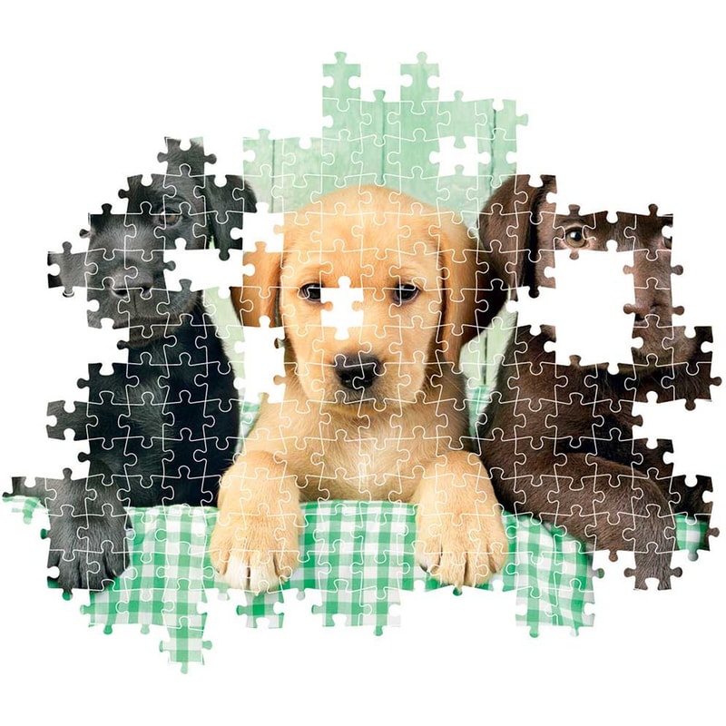 Three puppies (yellow, black, brown) as a puzzle with some missing pieces, on a green checkered blanket