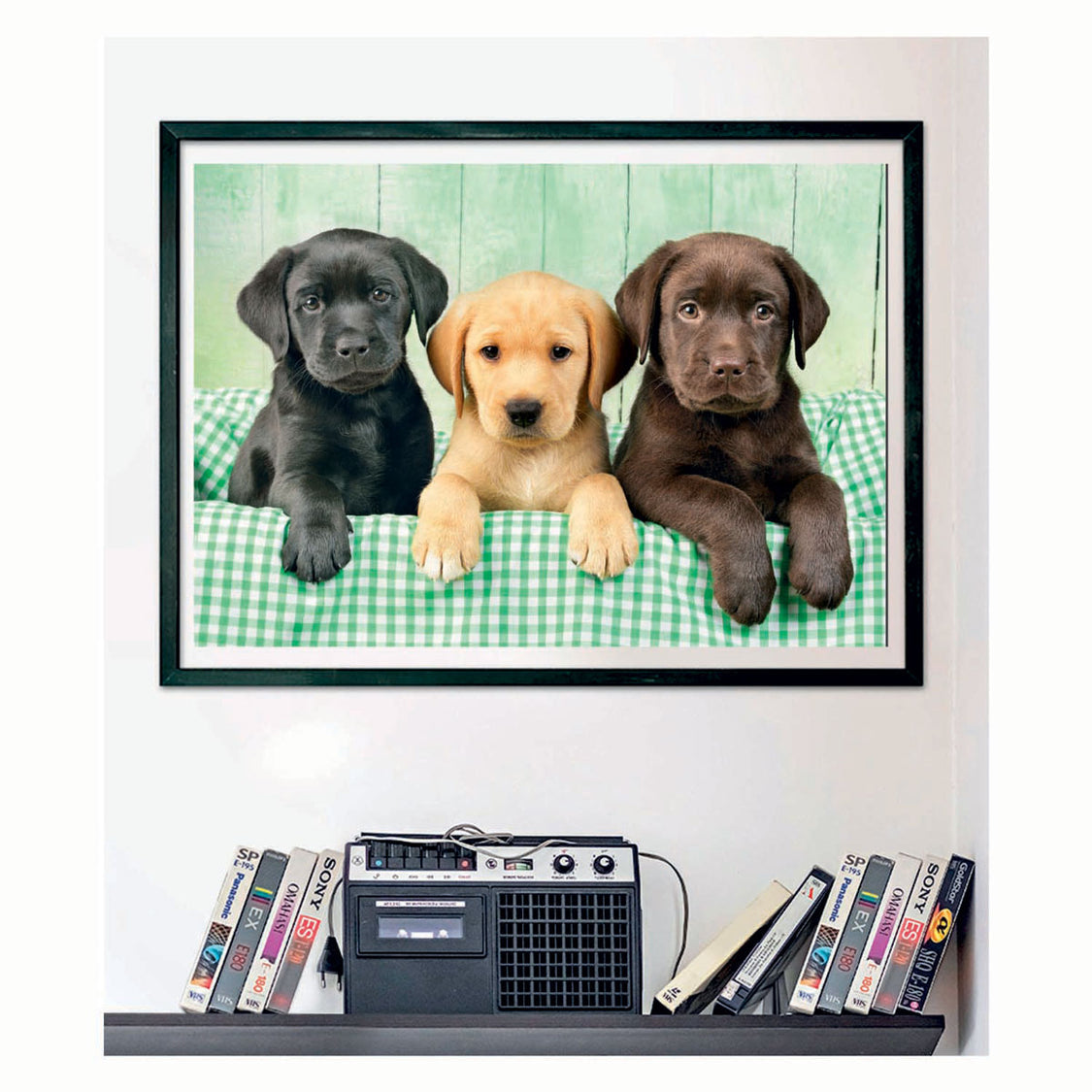 Framed print of three Labrador puppies (black, yellow, chocolate) sitting on a green gingham blanket, above a shelf