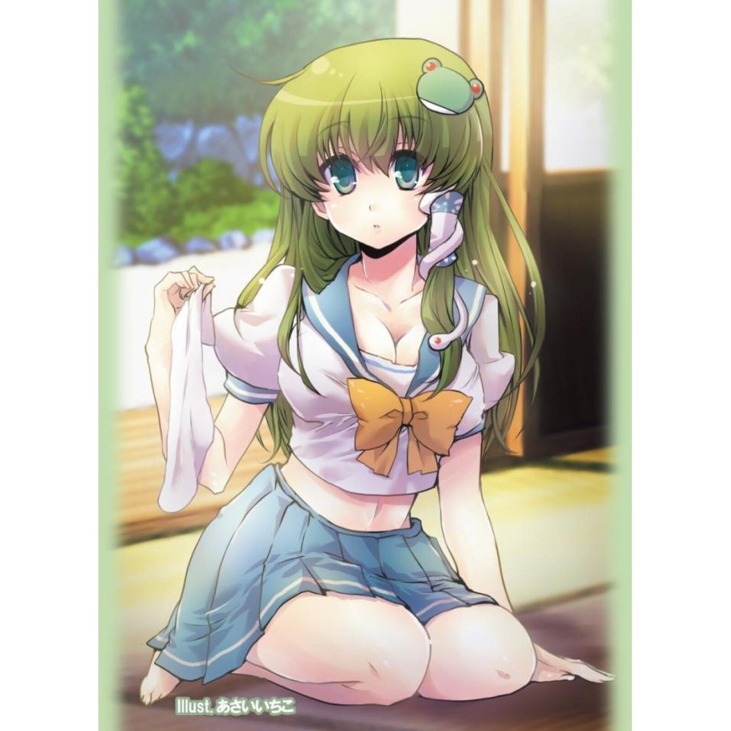 Touhou Sleeves - Vol. 41