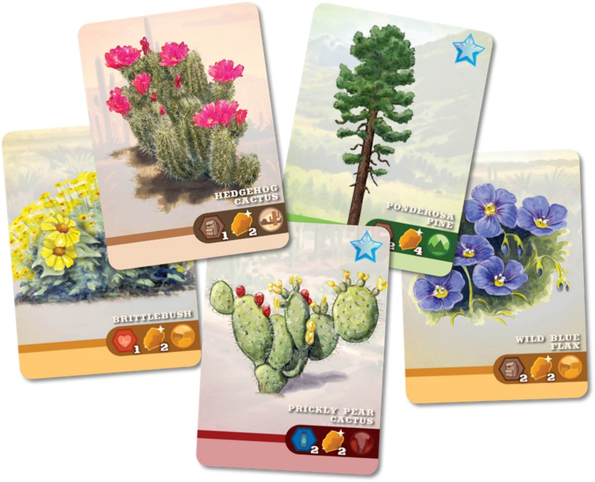 Five fanned game cards show cacti, wildflowers, and a pine tree with game resource icons and numbers