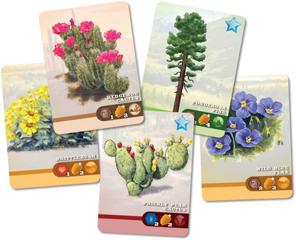 Five fanned game cards show cacti, wildflowers, and a pine tree with game resource icons and numbers