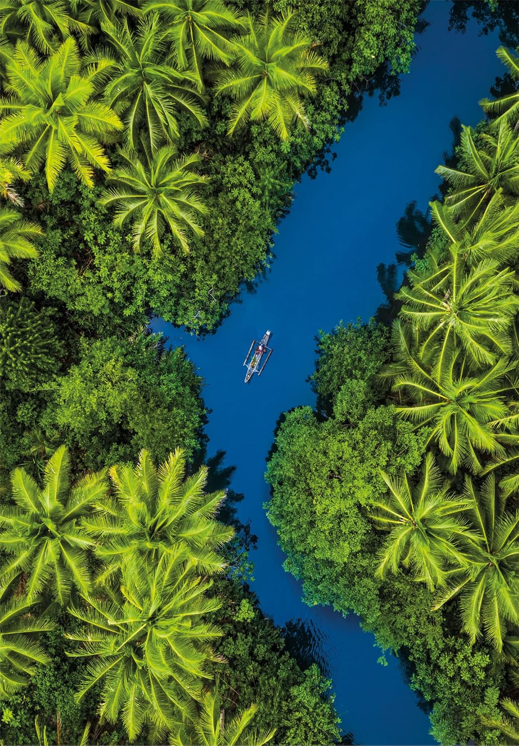 Aerial view of an outrigger canoe moving along a vivid blue river, framed by dense tropical trees and palm fronds