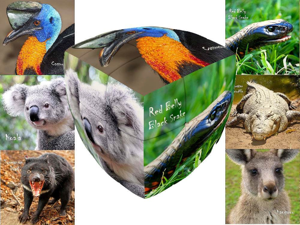 V-Cube Australian Animals 3X3 Pillow - Good Games