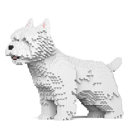 White block-built Westie dog, standing in profile