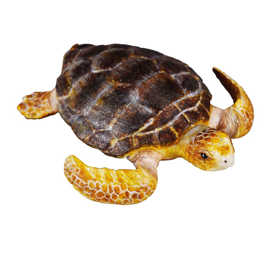 Collecta Loggerhead Turtle (M) - Good Games