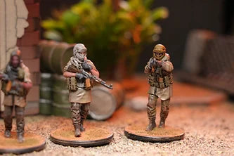 IN Country Forces Advised Militia - Good Games