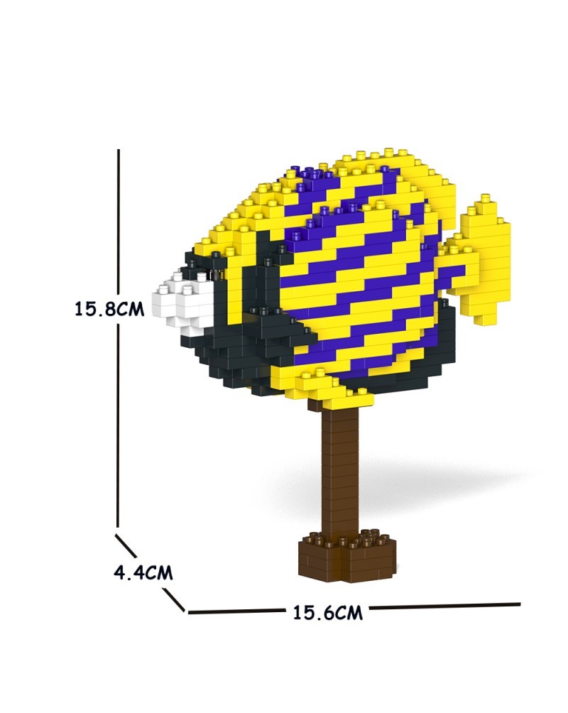 Jekca - Emperor Angelfish 01S