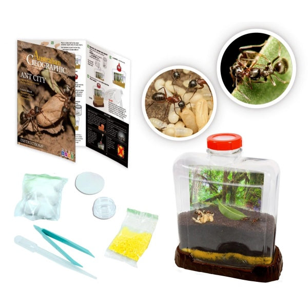 Australian Geographic - Ant City - Good Games