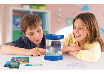 Aqua Dragons - Colour Changing Box Kit