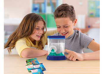 Aqua Dragons - Colour Changing Box Kit with LED Light