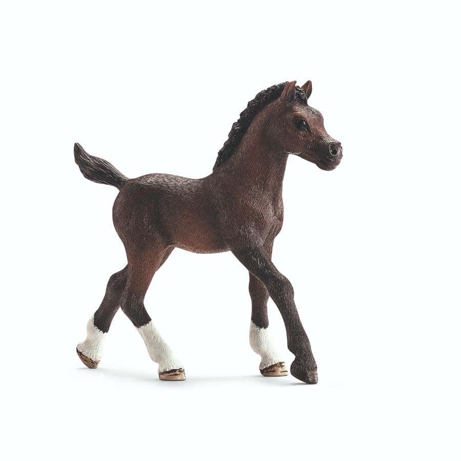 Arabian Foal - Good Games