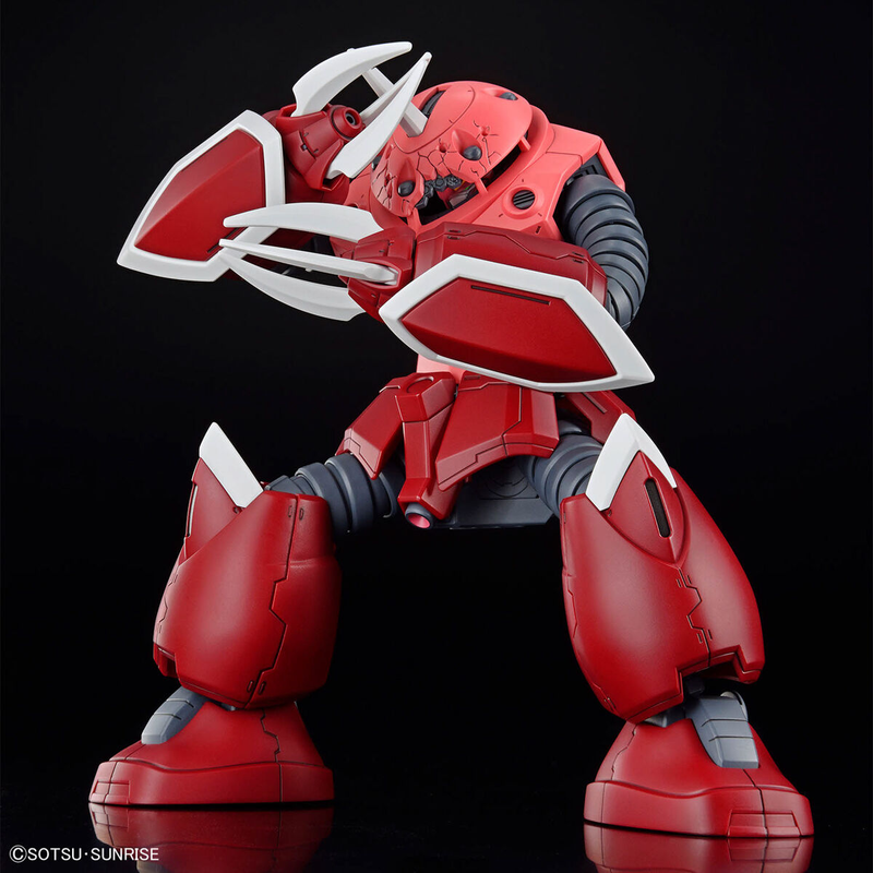 HG 1/144 Z&#39;Gok(Seed Freedom Ver.) - Good Games