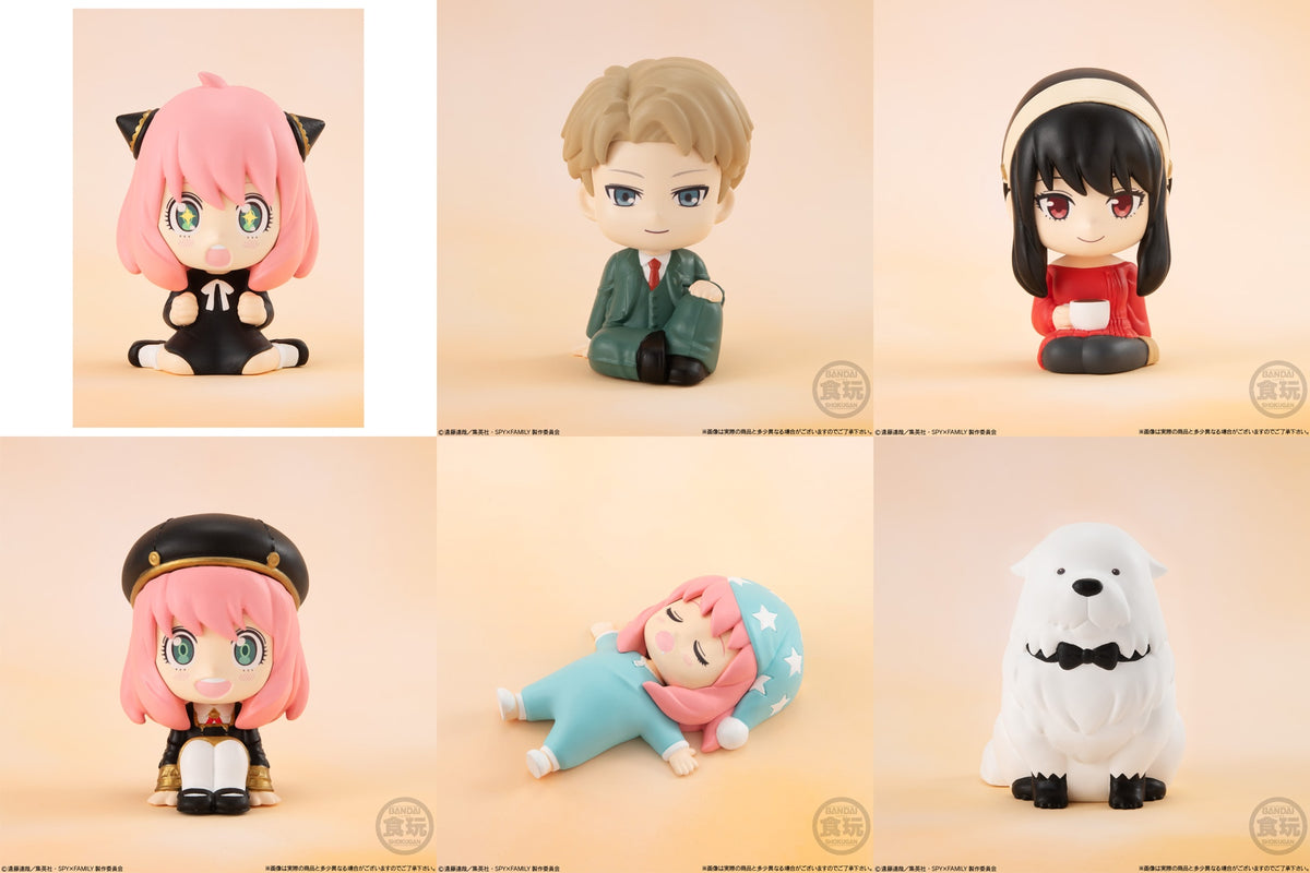 Rela Cot SPYxFAMILY Blind Box