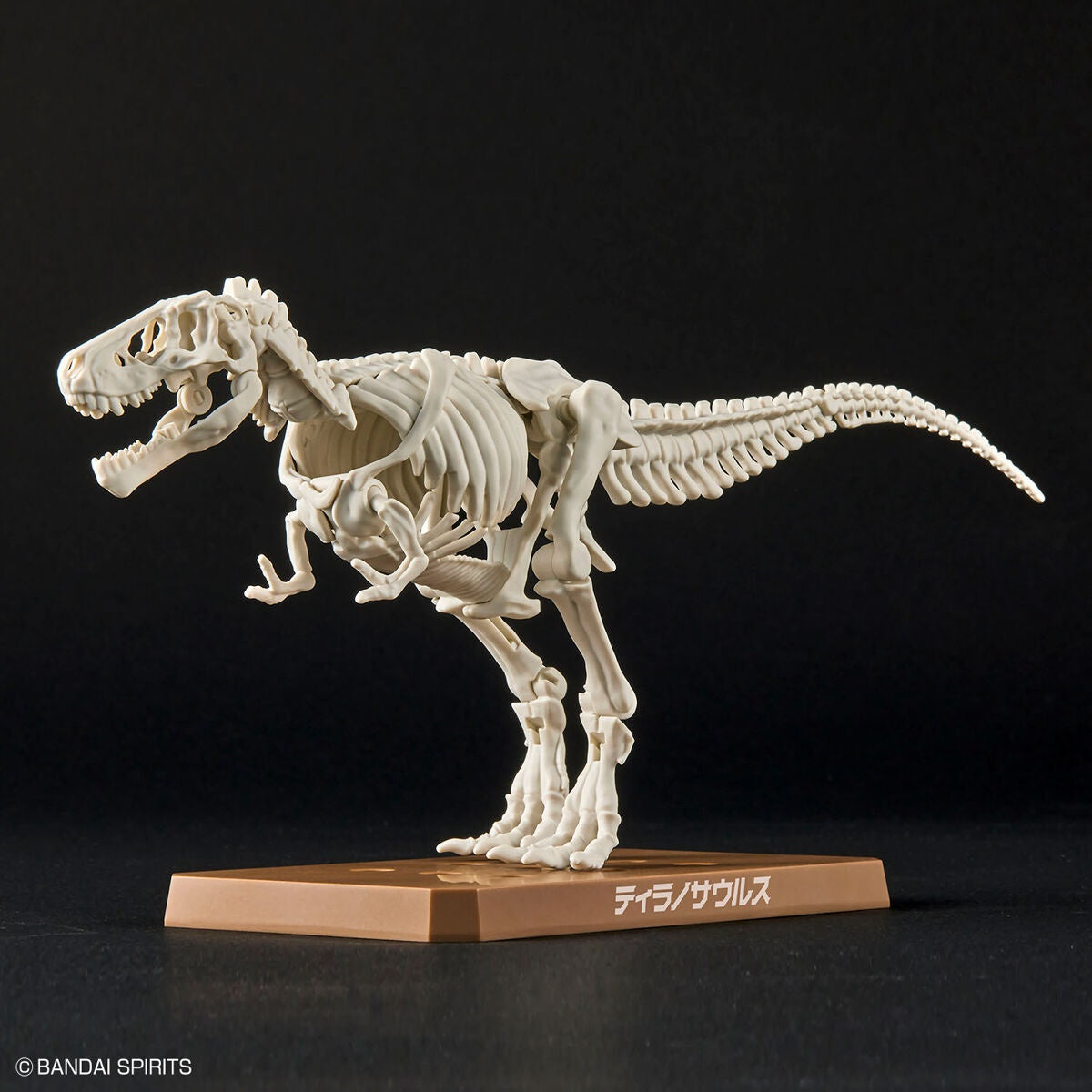 New Dinosaur Plastic Model Kit Brand Tyrannosaurus - (Tentative) - Good Games