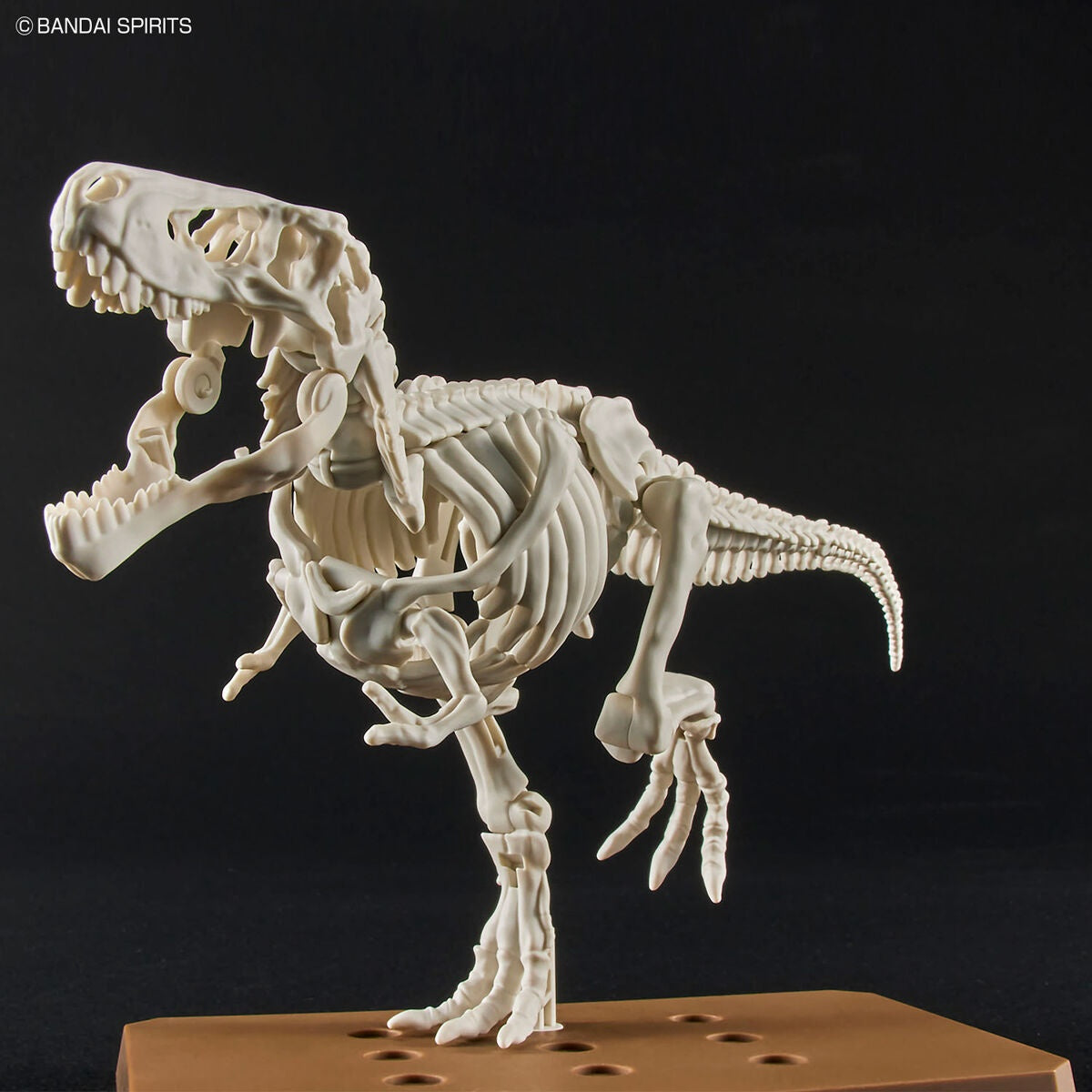 New Dinosaur Plastic Model Kit Brand Tyrannosaurus - (Tentative) - Good Games