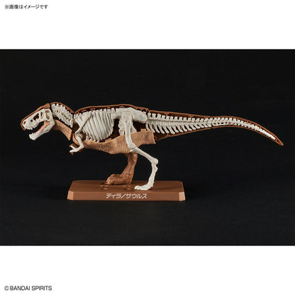 New Dinosaur Plastic Model Kit Brand Tyrannosaurus - (Tentative) - Good Games