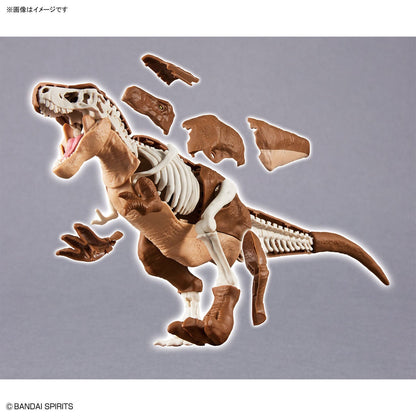 New Dinosaur Plastic Model Kit Brand Tyrannosaurus - (Tentative) - Good Games
