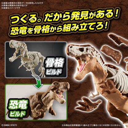 New Dinosaur Plastic Model Kit Brand Tyrannosaurus - (Tentative) - Good Games