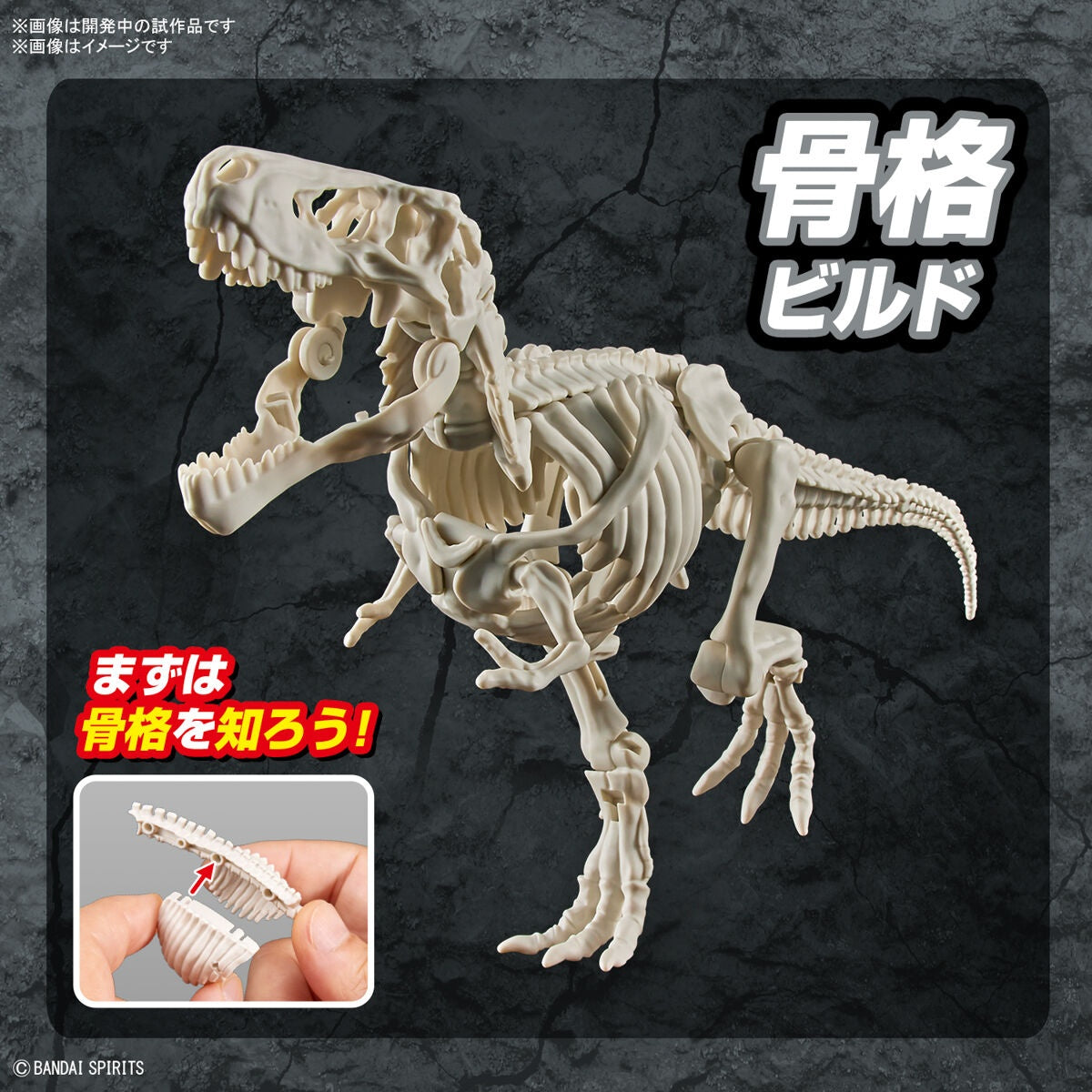 New Dinosaur Plastic Model Kit Brand Tyrannosaurus - (Tentative) - Good Games