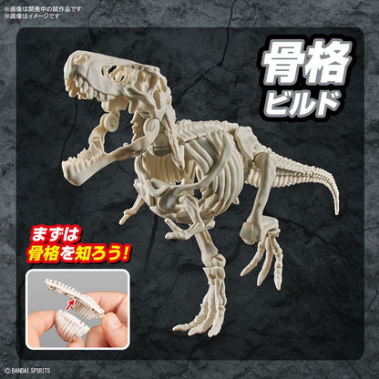 New Dinosaur Plastic Model Kit Brand Tyrannosaurus - (Tentative) - Good Games