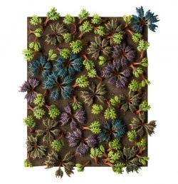 Citadel Barbed Bracken (64-52)