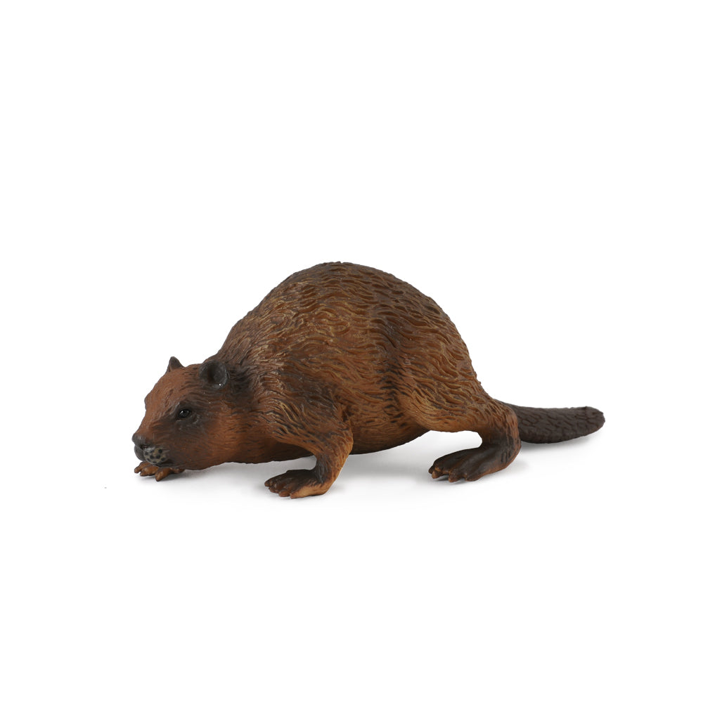 Collecta Beaver - M - Good Games