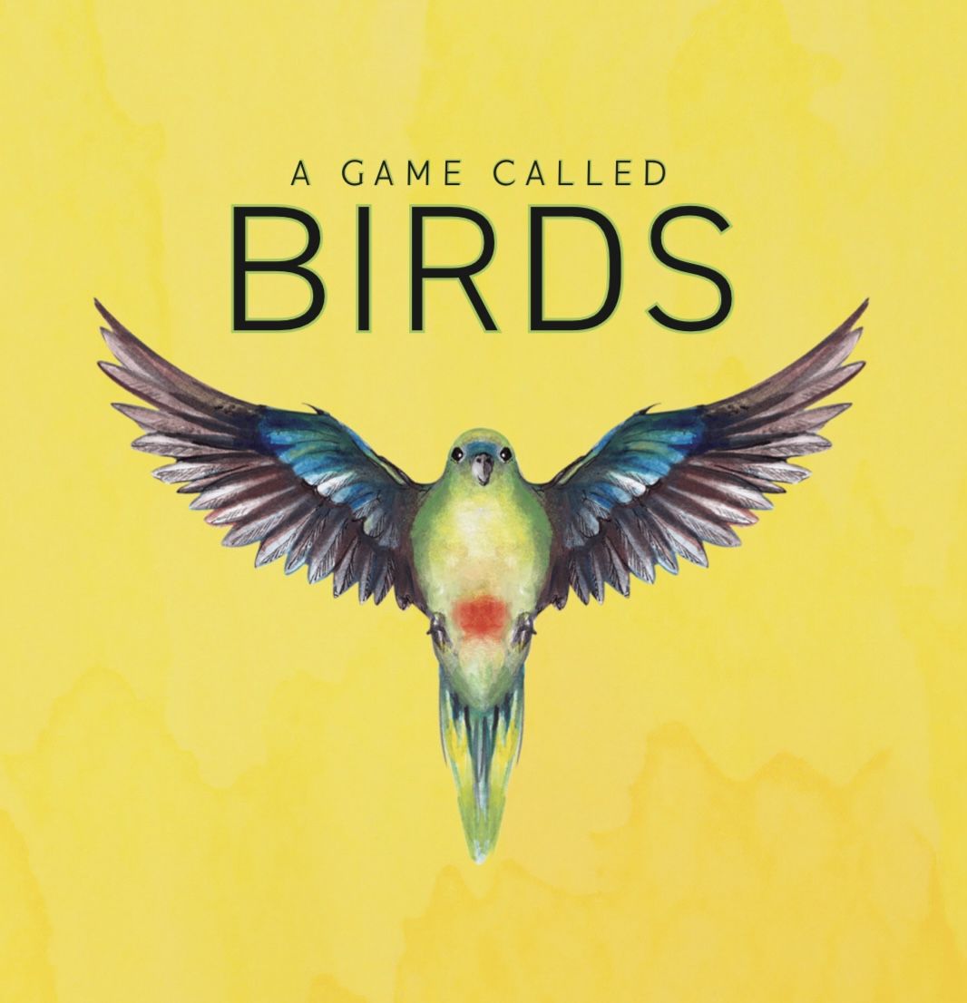 Game cover: Green parrot with spread blue wings and a red chest on yellow