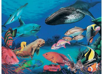 Blue Opal - Wild Aust Beneath the Oceans 200 Pieces