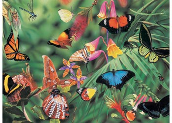 Blue Opal - Wild Australia Butterflies & Beetles 100 Pieces