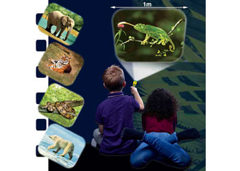 Brainstorm Toys - Animal Torch & Projector