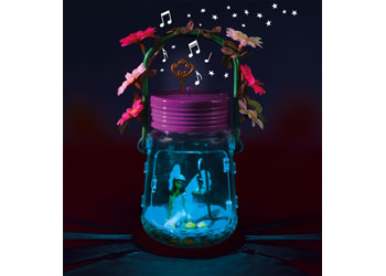 Brainstorm Toys - My Very Own Fairy Jar
