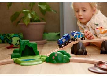 BRIO - Special Edition Train