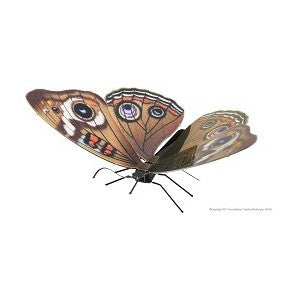 Metal Earth - Buckeye Butterfly - Good Games
