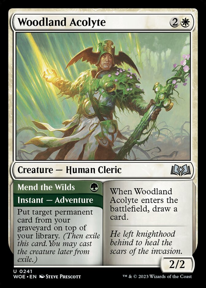 Woodland Acolyte // Mend the Wilds 241 (Wilds of Eldraine) 