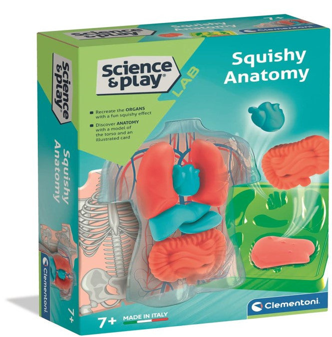 Clementoni Science and Play Squishy Anatomy Lab